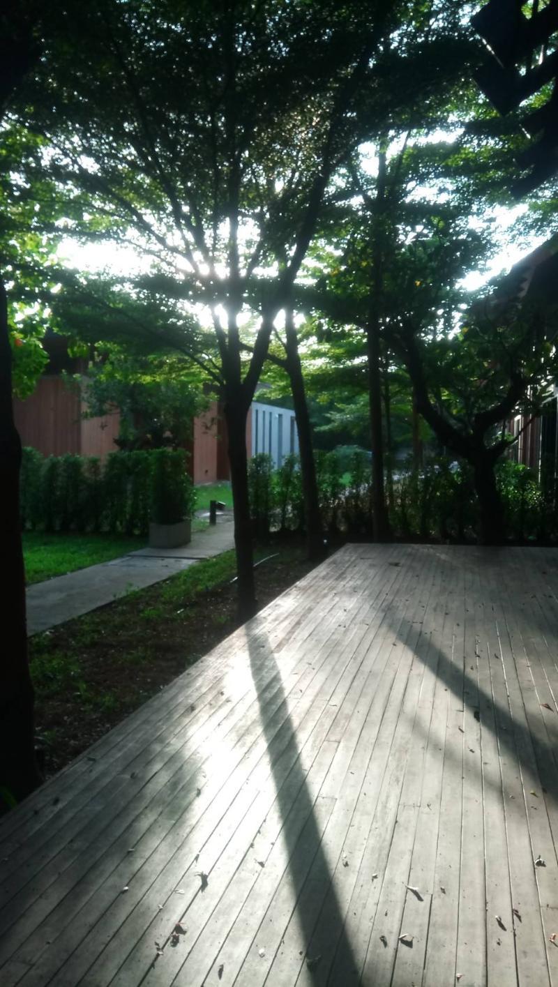 イントゥー ザ フォレスト リゾート バンコク都 エクステリア 写真